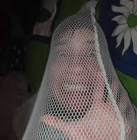 anne in a net